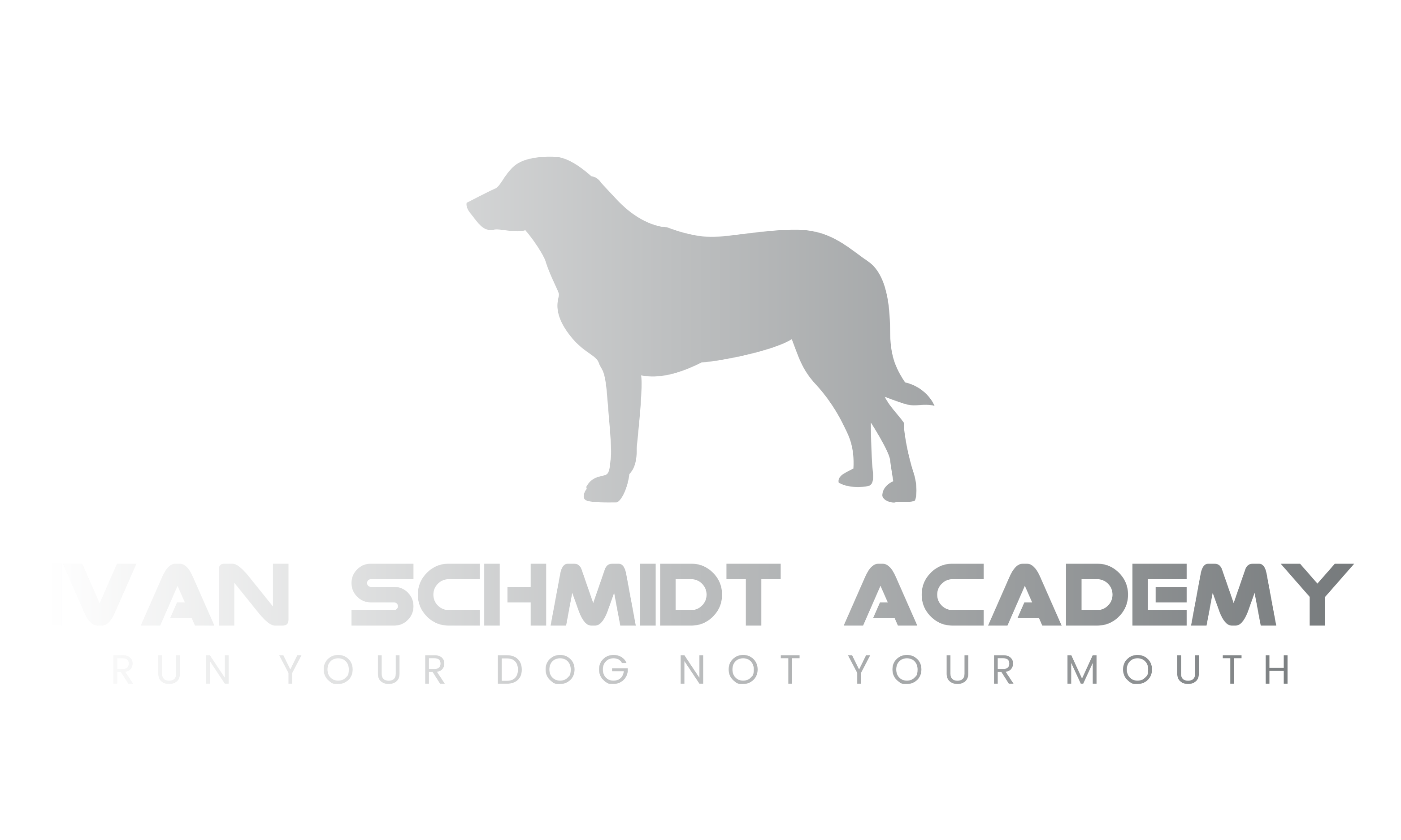 Ivan Schmidt Academy